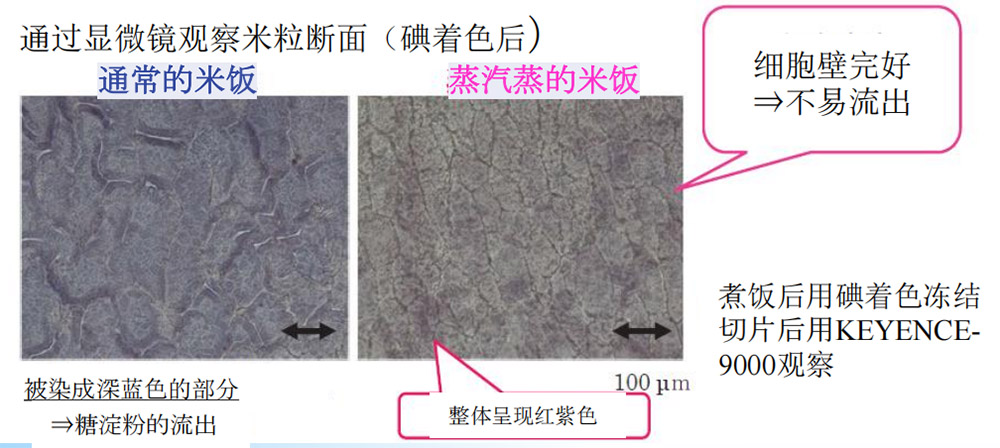 海泰科连续蒸饭机优点